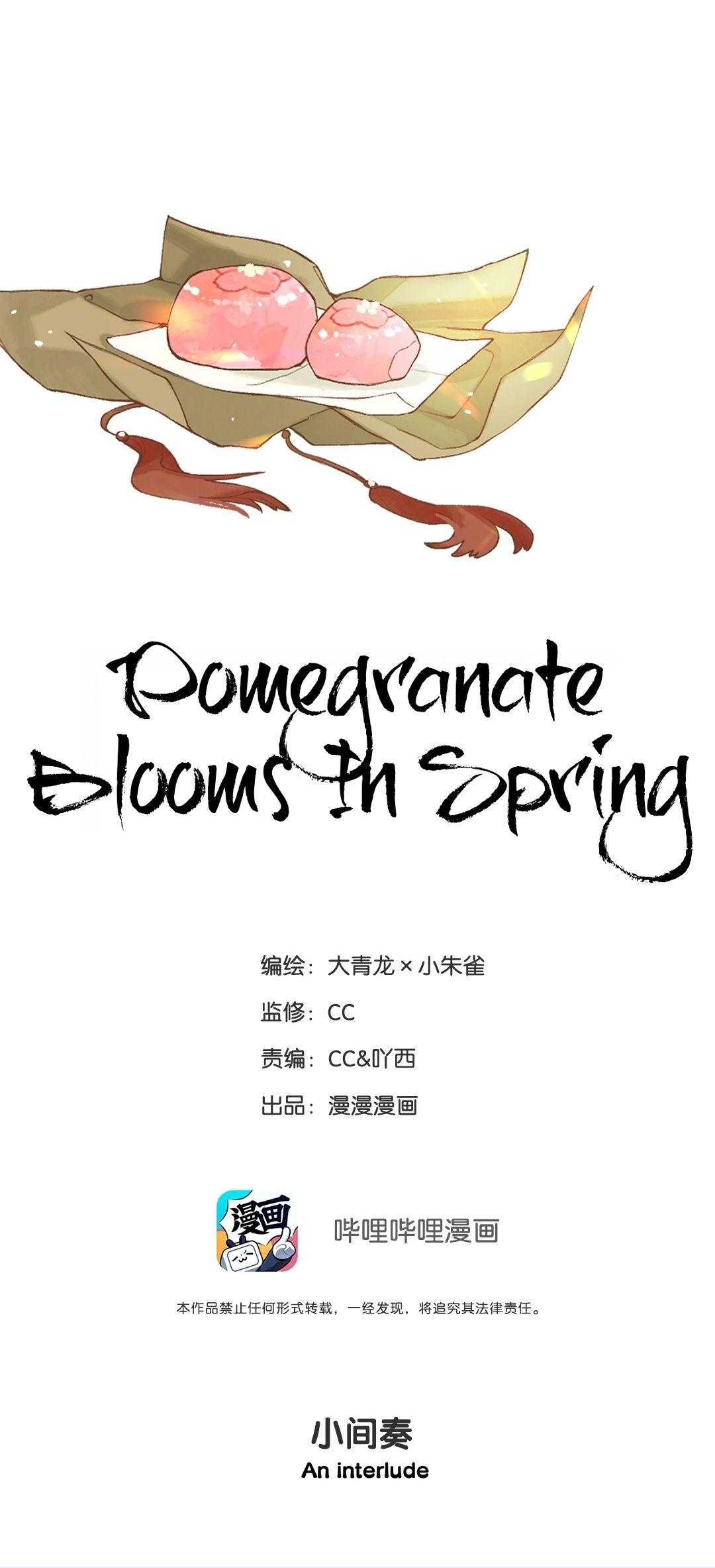 Pomegranate Blooms In Spring - Page 2
