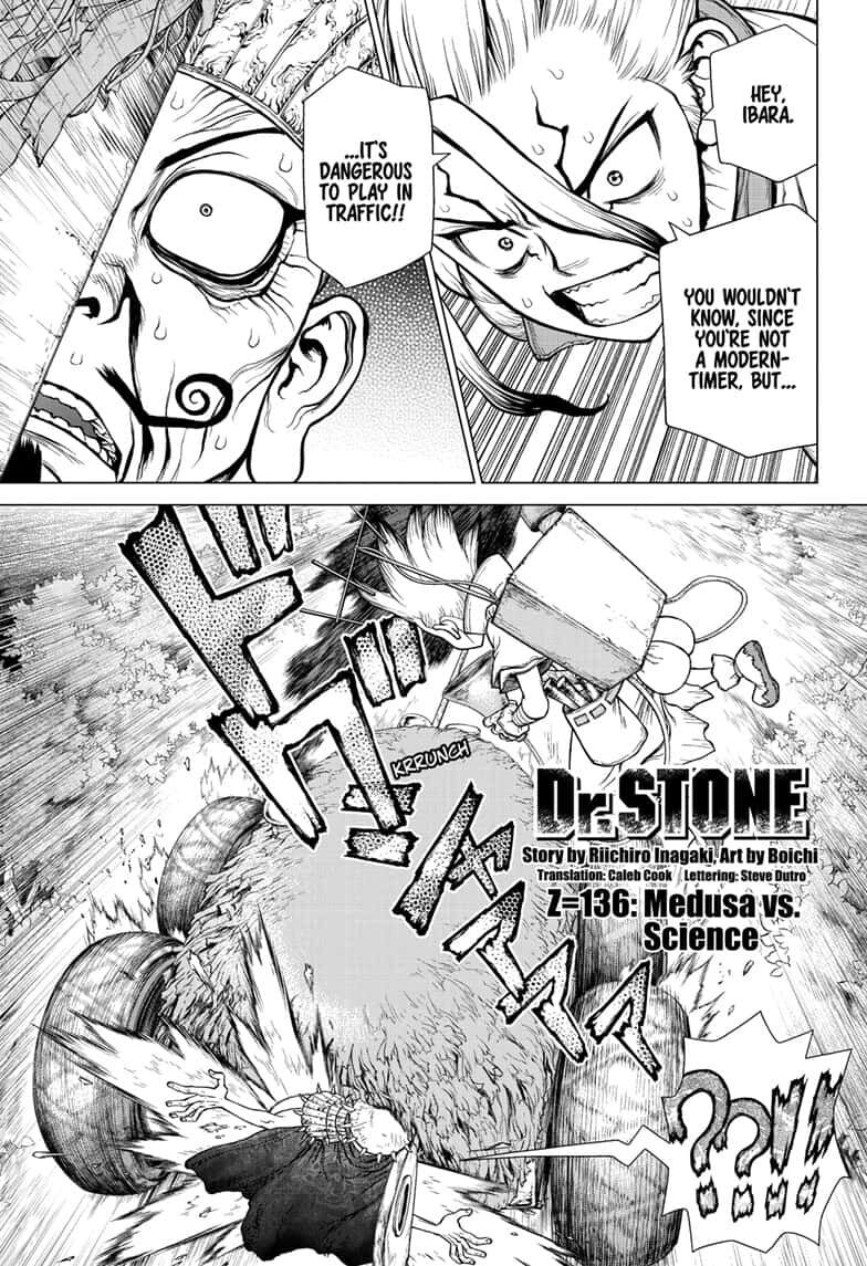 Dr. Stone Chapter 136 - Picture 1