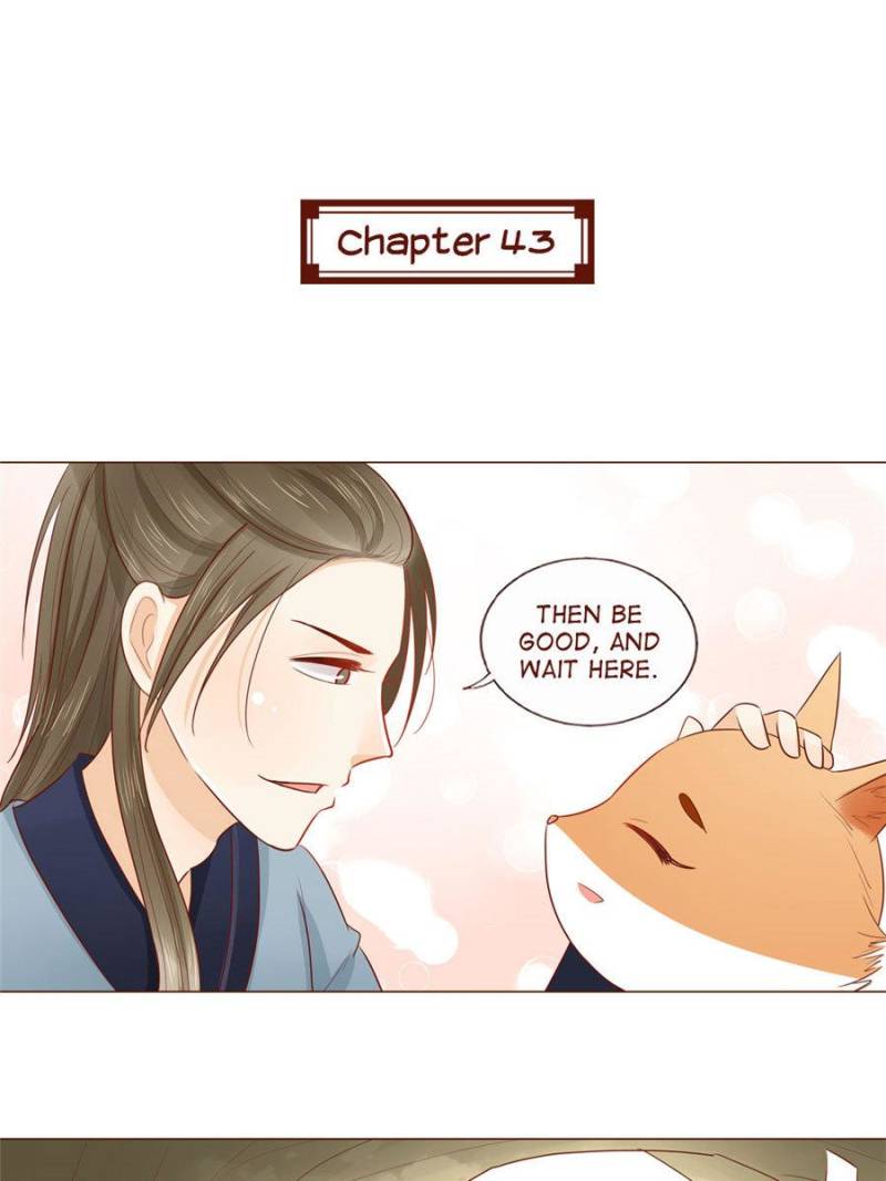 The Tiger King’S Diary Chapter 43 - Picture 1