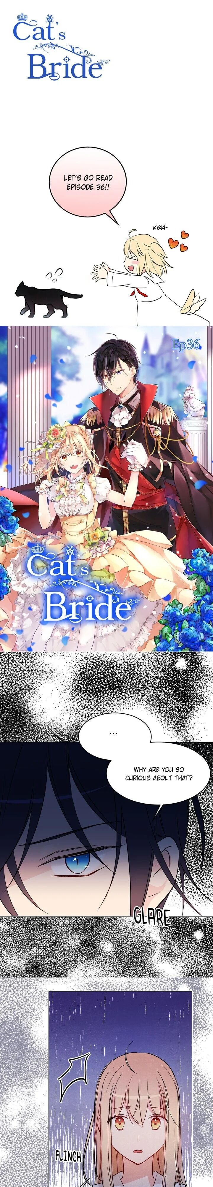 Cat's Bride Chapter 36 - Picture 1