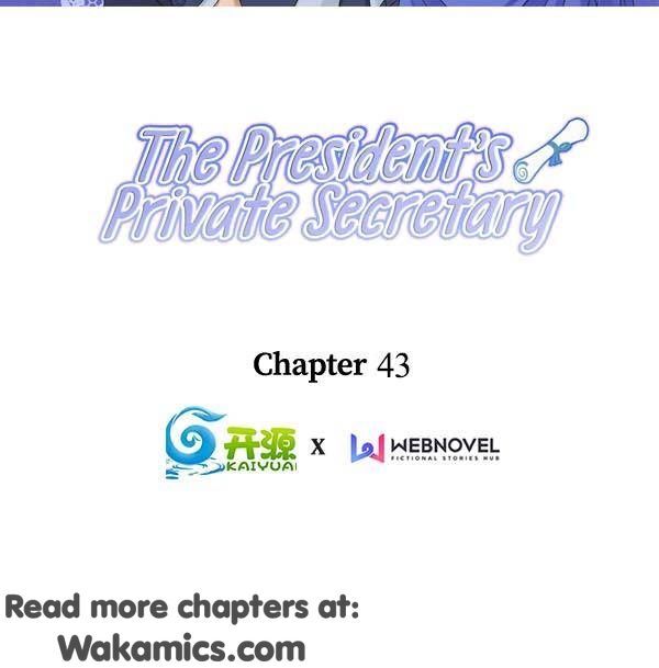 The President’S Private Secretary Chapter 43 - Picture 2