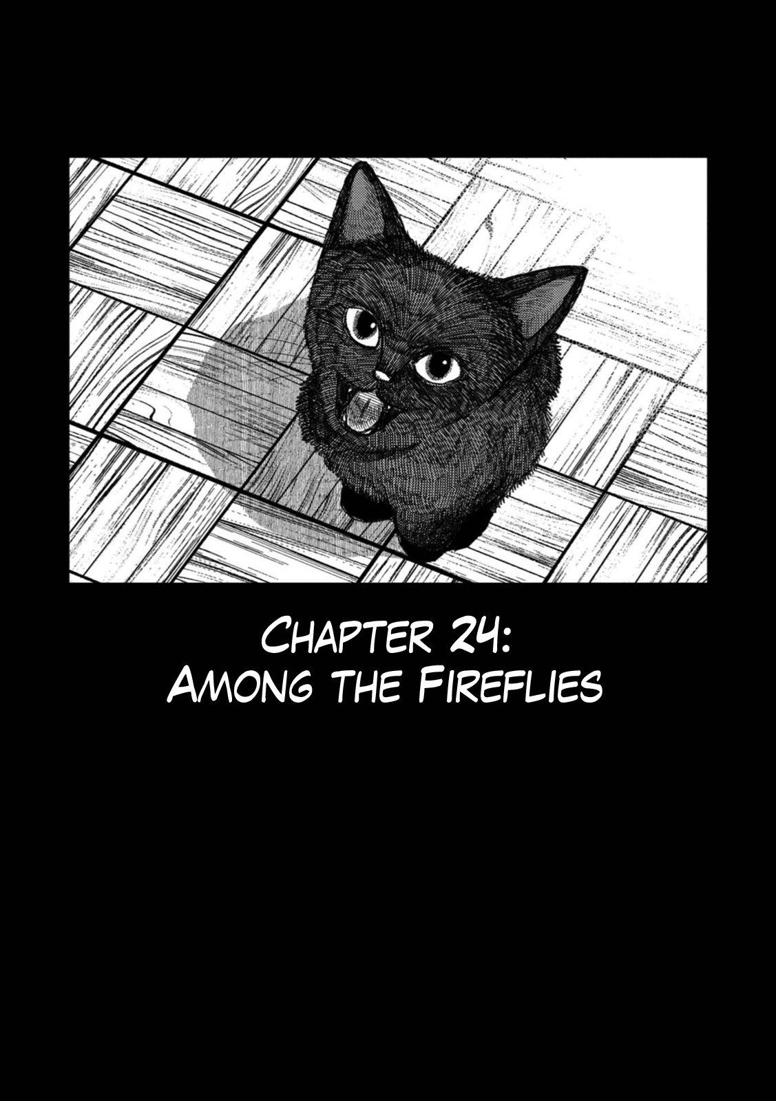 Rojica To Rakkasei Chapter 24: Among The Fireflies - Picture 1