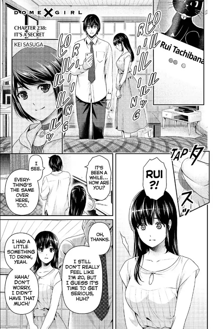 Domestic Na Kanojo Chapter 238: It's A Secret - Picture 2