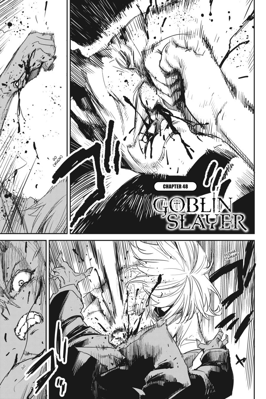 Goblin Slayer Chapter 48 - Picture 2