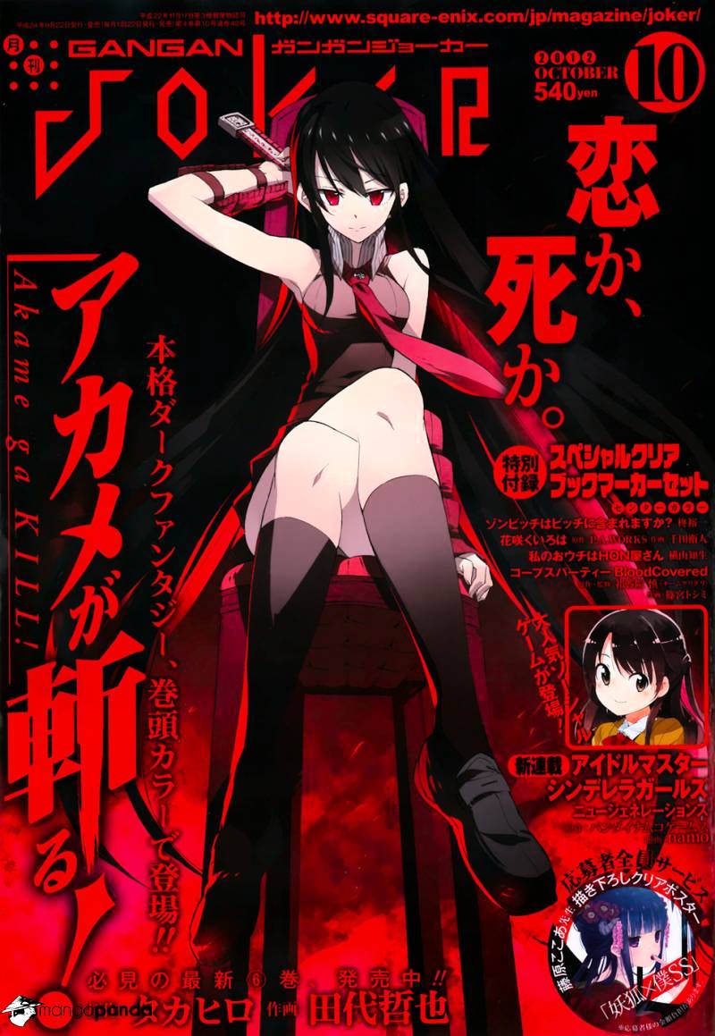 Akame Ga Kill! Chapter 30 : Kill The Puppets - Picture 1
