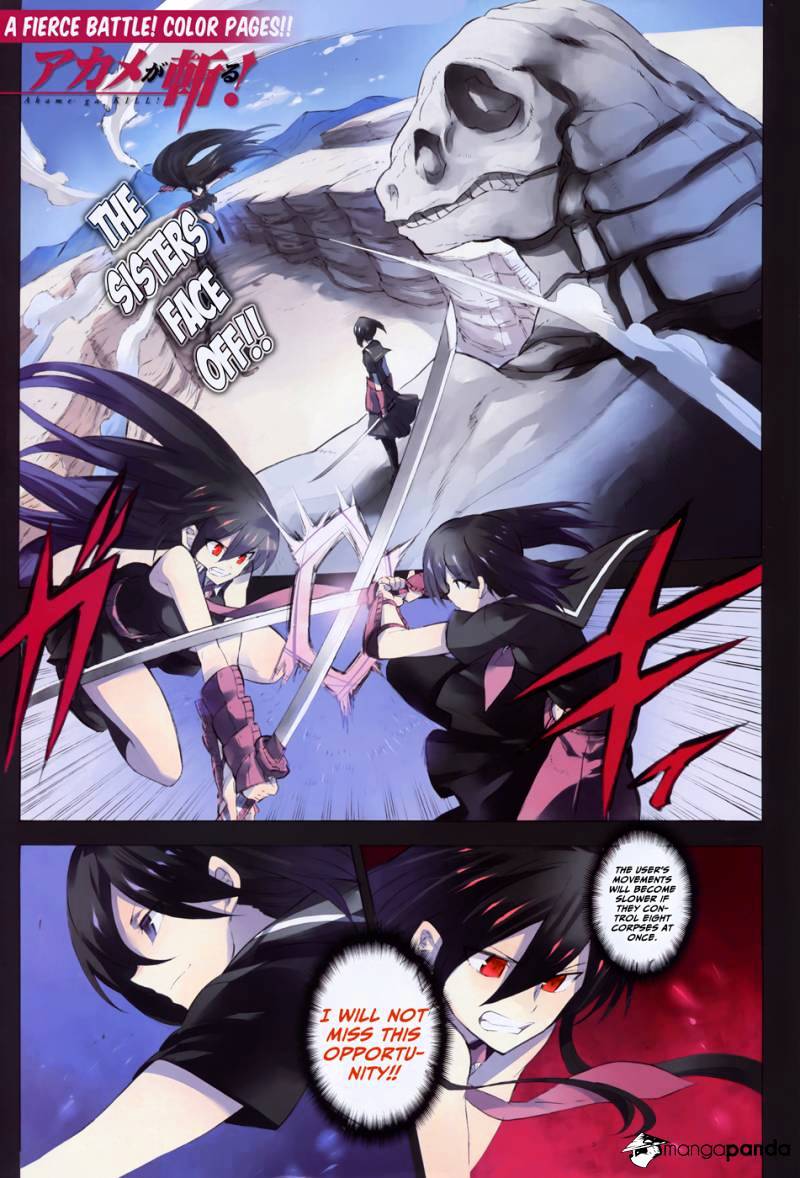 Akame Ga Kill! Chapter 30 : Kill The Puppets - Picture 2