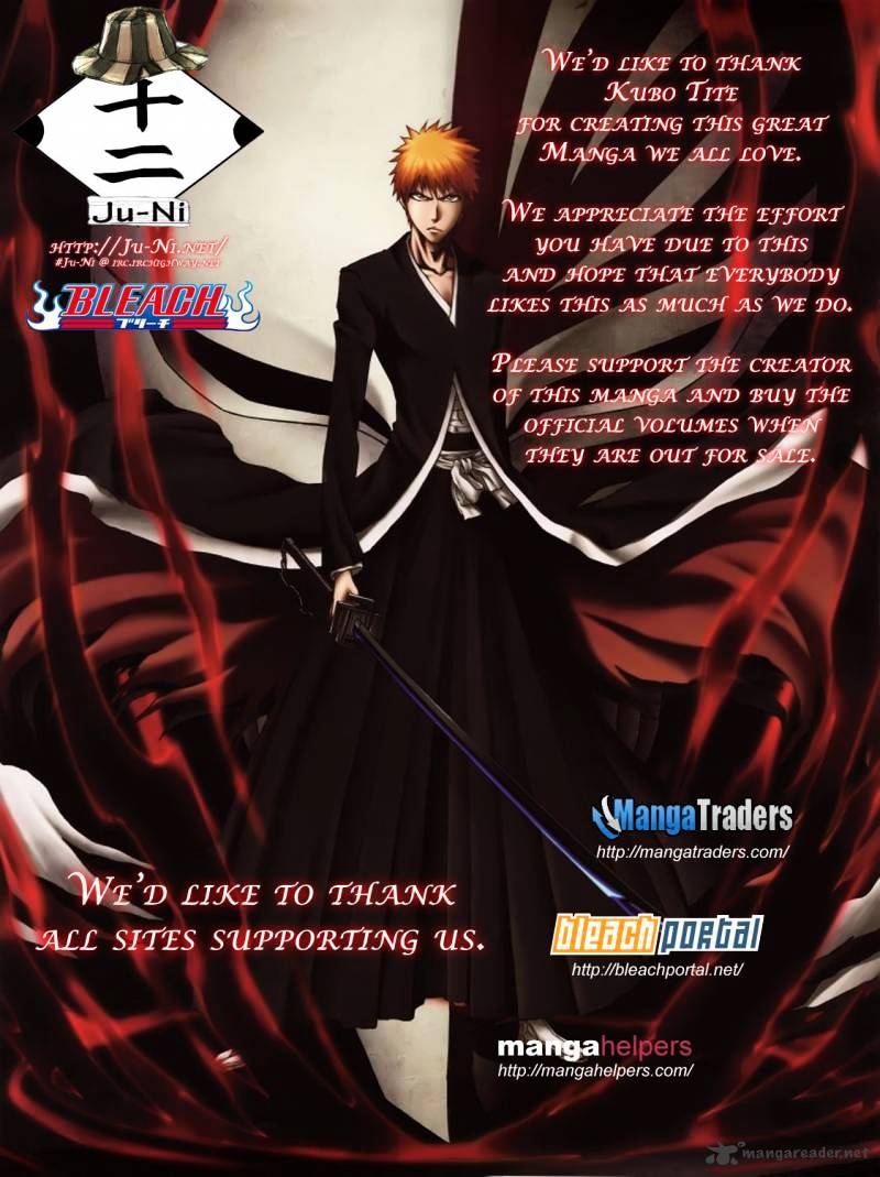 Bleach Chapter 379 : Crushing...! - Picture 3